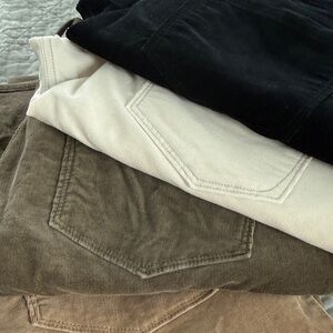 Loft Corduroy Pants in Black, Cream, Tan and Brown